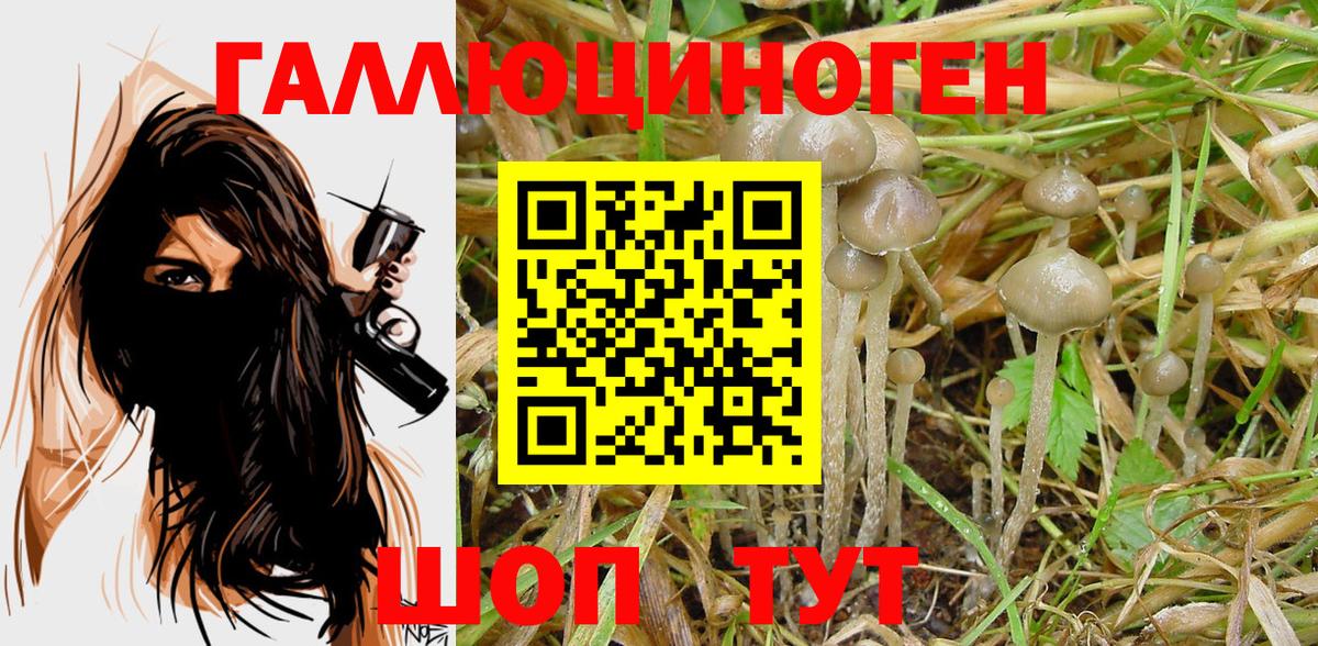 Псилоцибиновые грибы Magic Shrooms  Вход с VPN  Железноводск  Псилоцибиновые грибы ЛСД 