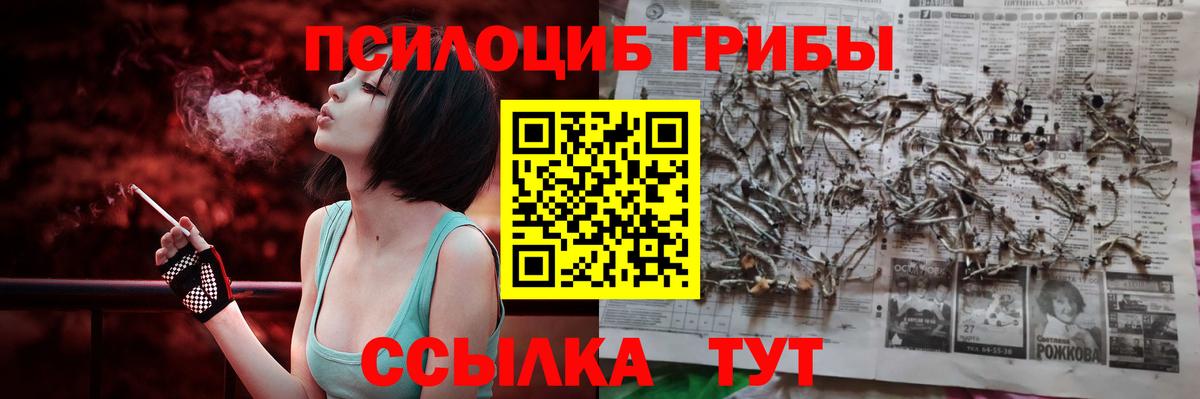 Псилоцибиновые грибы мухоморы Железноводск